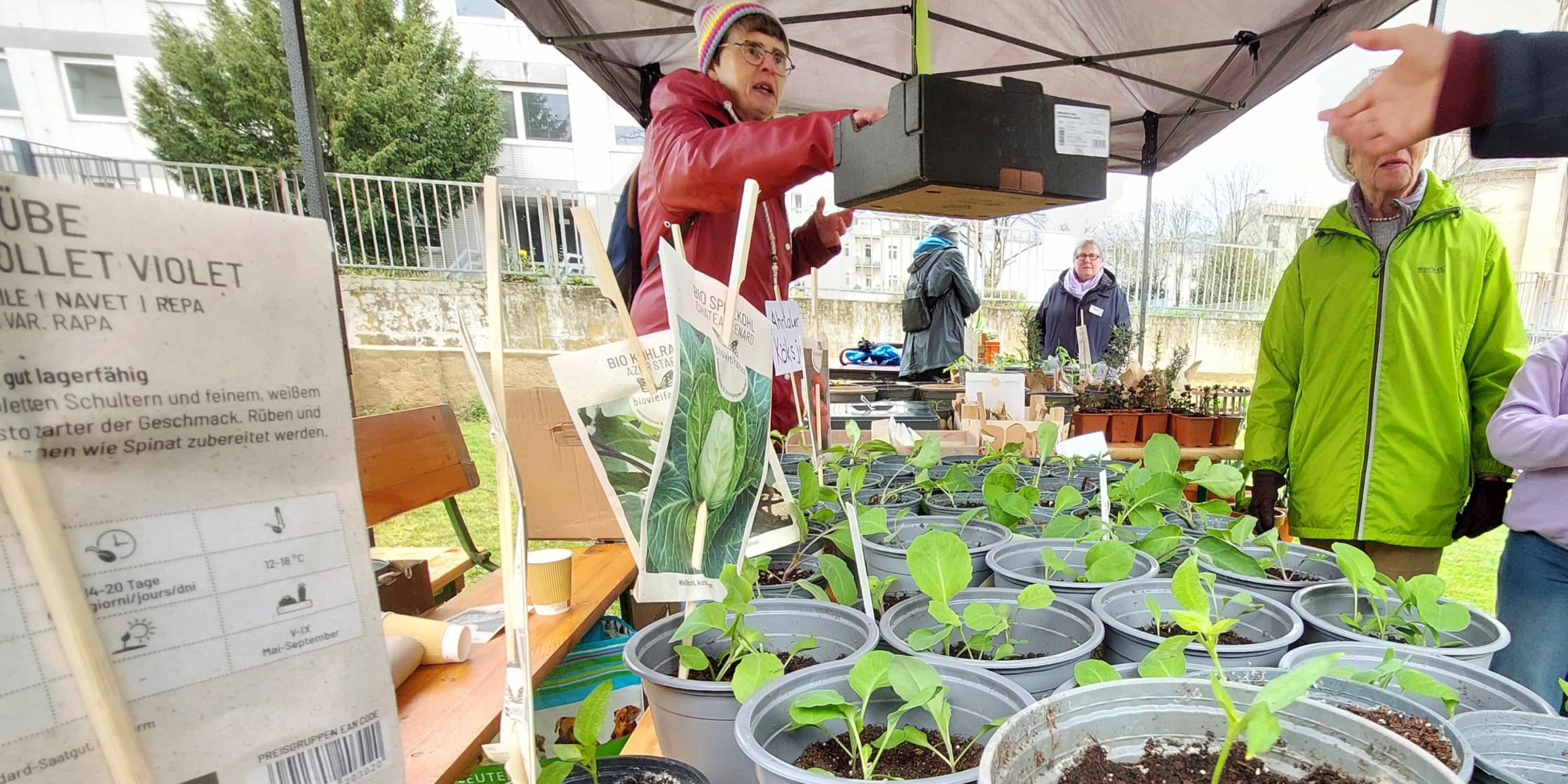 Durchwachsen war nur das Wetter – ein Hoch gab es bei Besucherzahlen (c) Markus Hartmann Durchwachsen war nur das Wetter – ein Hoch gab es bei Besucherzahlen