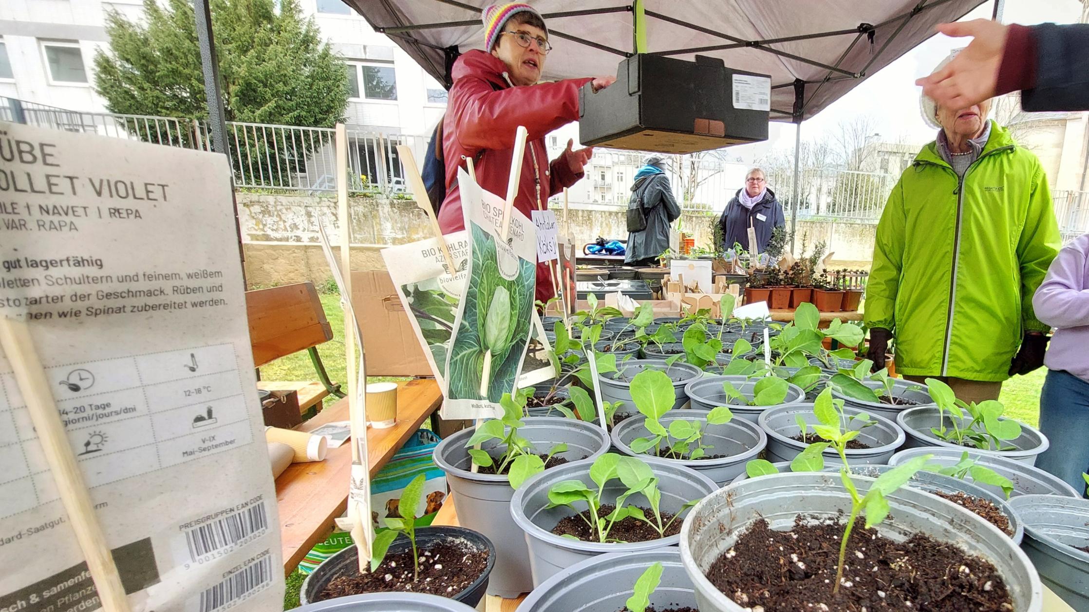 Durchwachsen war nur das Wetter – ein Hoch gab es bei Besucherzahlen 