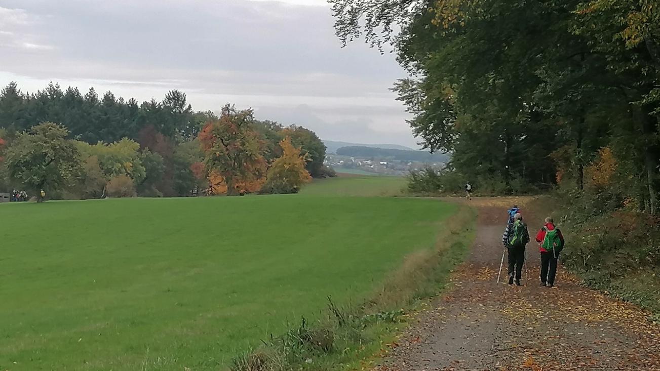 Blick über's Feld am Waldrand in die Weite. Zwei Personen spazieren durch's Herbstlaub