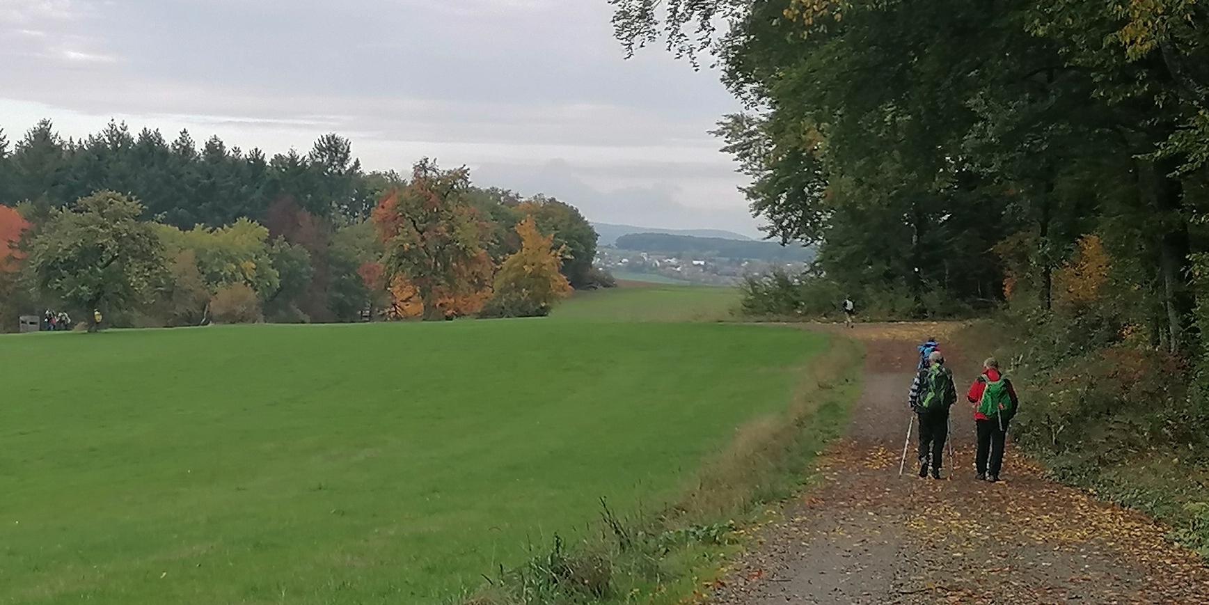 Blick über's Feld am Waldrand in die Weite. Zwei Personen spazieren durch's Herbstlaub (c) Markus Hartmann Blick über's Feld am Waldrand in die Weite. Zwei Personen spazieren durch's Herbstlaub
