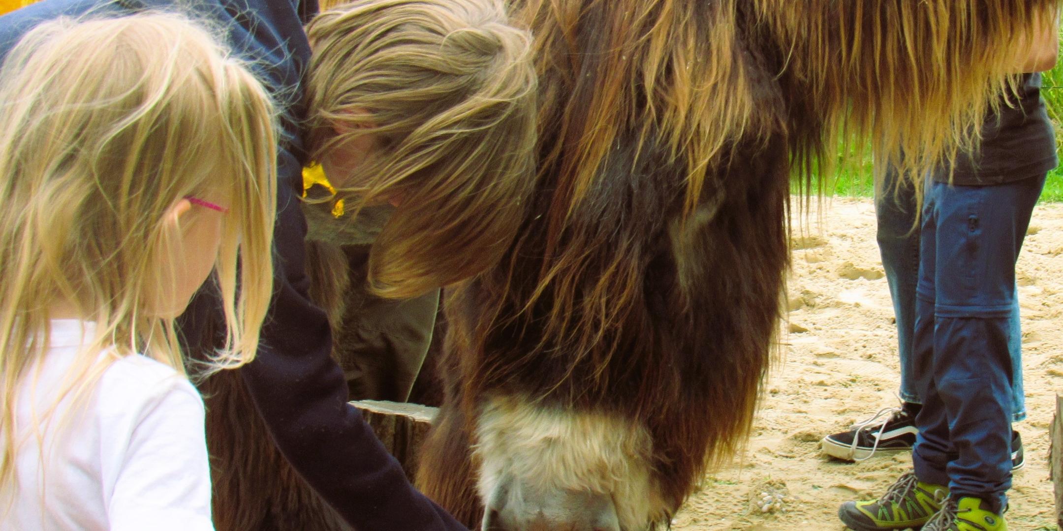 Foto: Auf den Touren gibt es immer sehr viel Schönes zu erleben.