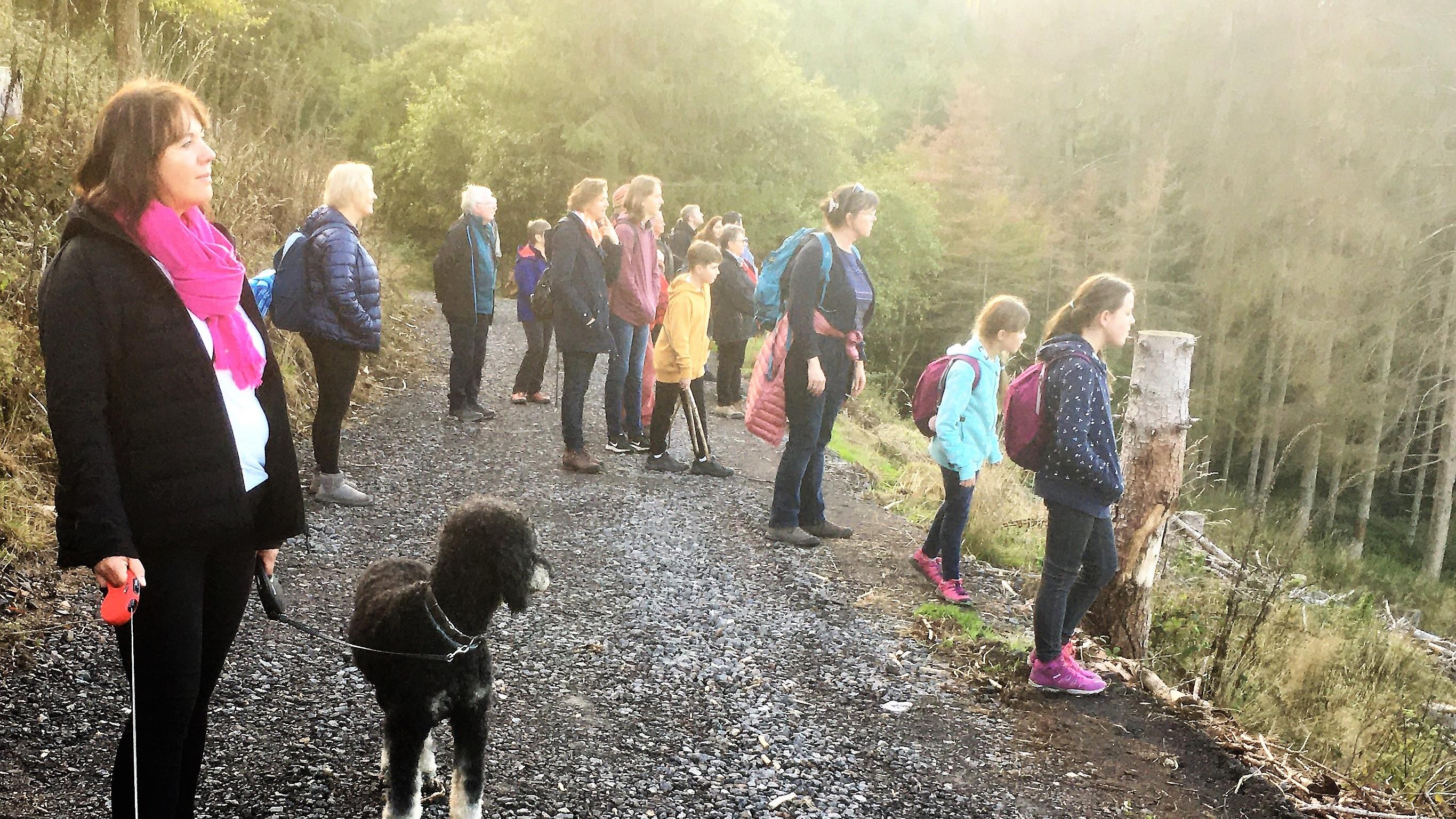 Familien stehen im nebligen Wald und schauen ins Tal hinab