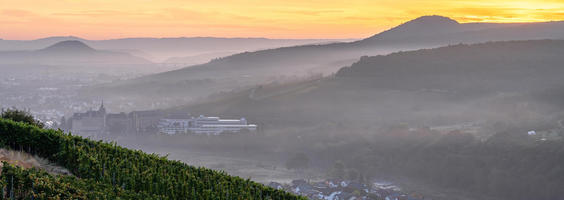 Pastoraler Raum Bad Neuenahr-Ahrweiler