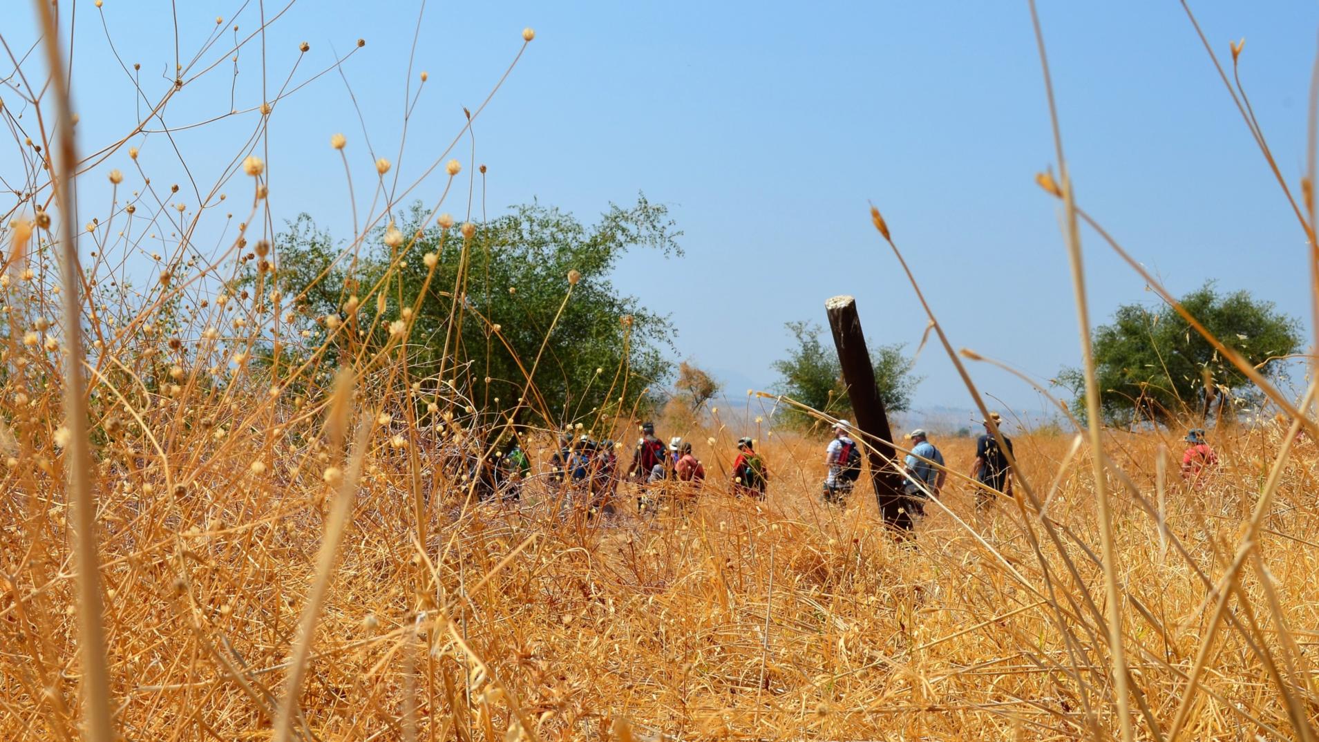 Pilgern ist vor allem eine Reise zu sich selbst.