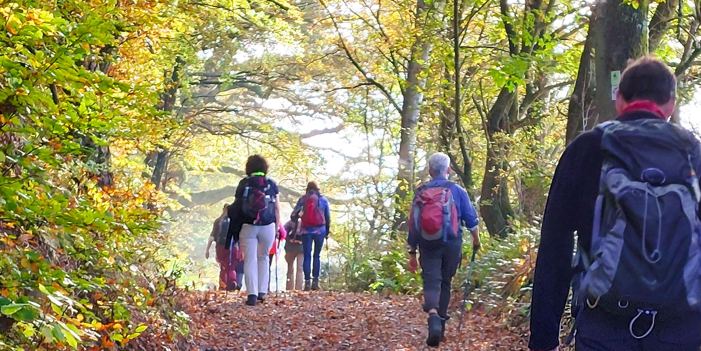 Wenn man in Bewegung ist, kommt auch was in Bewegung