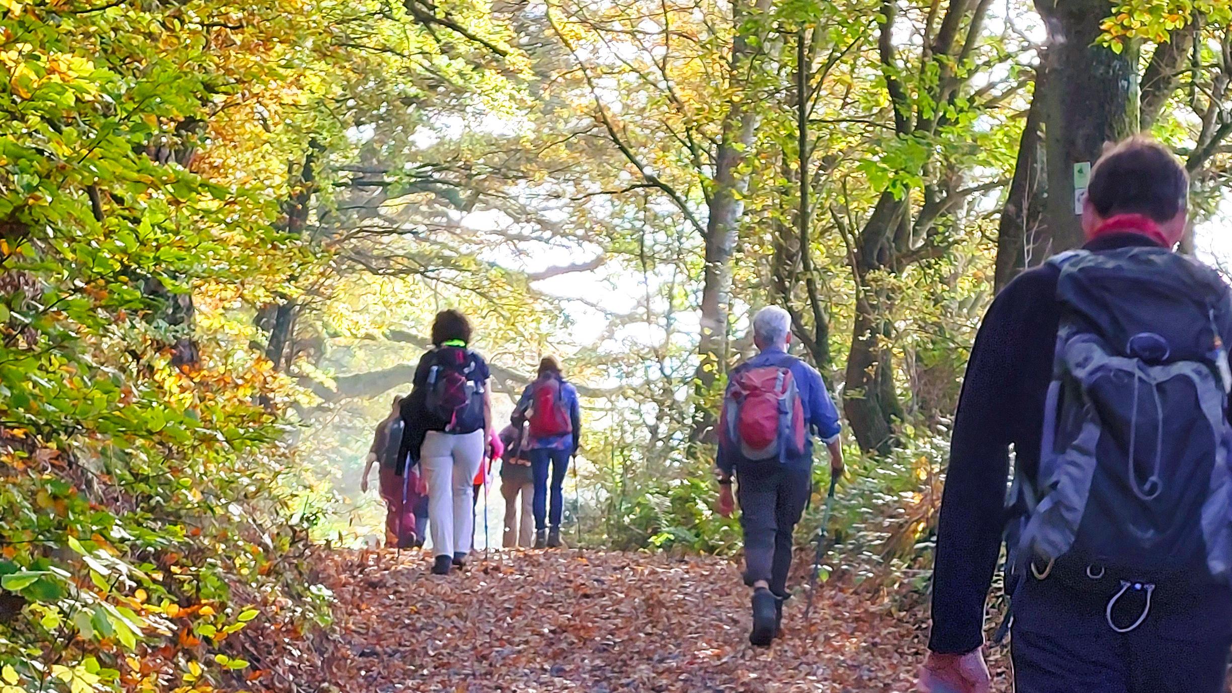 Wenn man in Bewegung ist, kommt auch was in Bewegung